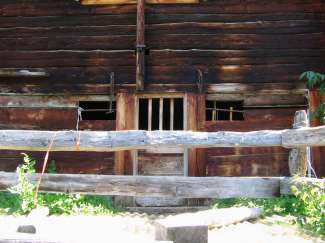IMG_4446.JPG